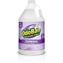 Odoban Disinfectant Cleaner 1 Gallon