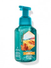 Bath & Body Works-Crisp Morning Air Gentle & Clean Foaming Hand Soap