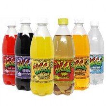 Bigga Assorted Soda 24 units/355 ml
