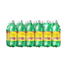 D&G Old Jamaican Ginger Beer 24 units/20 oz